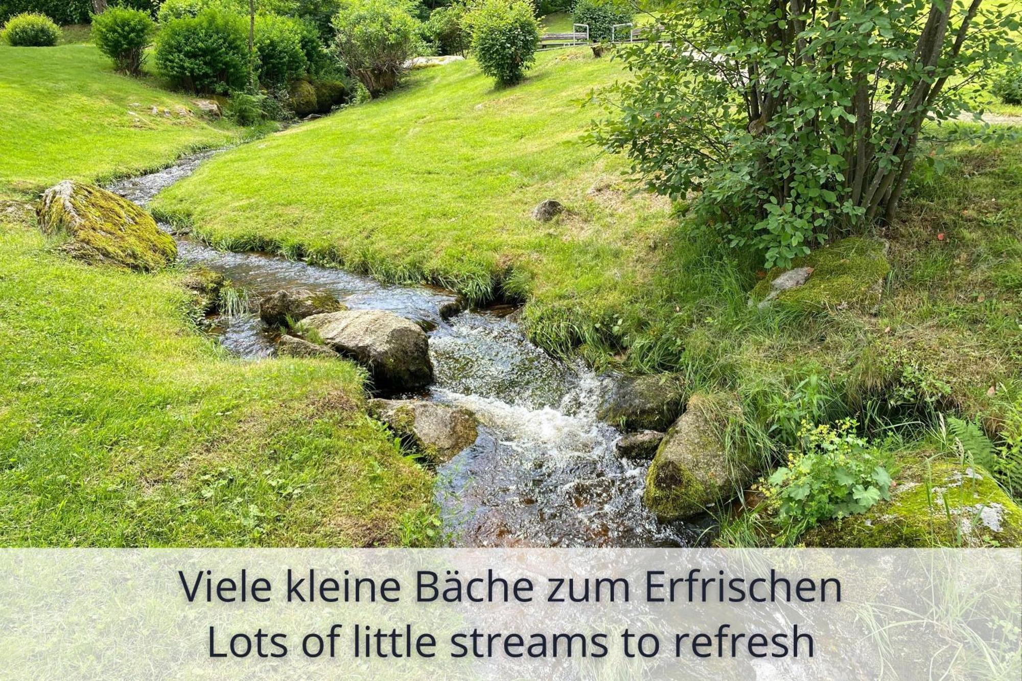 Auszeit Apartment Black Forest Schonach im Schwarzwald Exterior photo