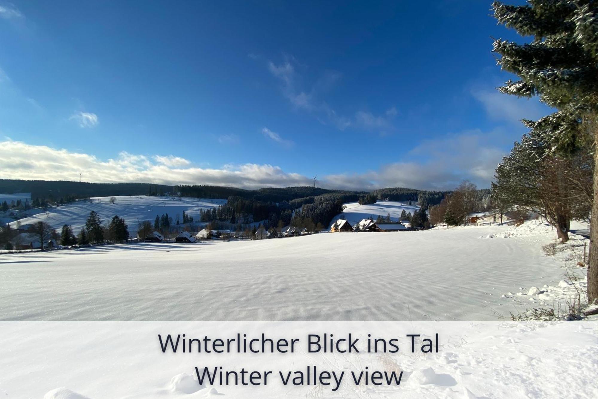 Auszeit Apartment Black Forest Schonach im Schwarzwald Exterior photo