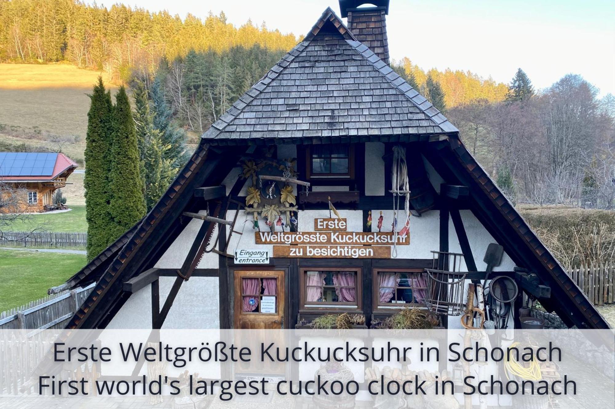 Auszeit Apartment Black Forest Schonach im Schwarzwald Exterior photo