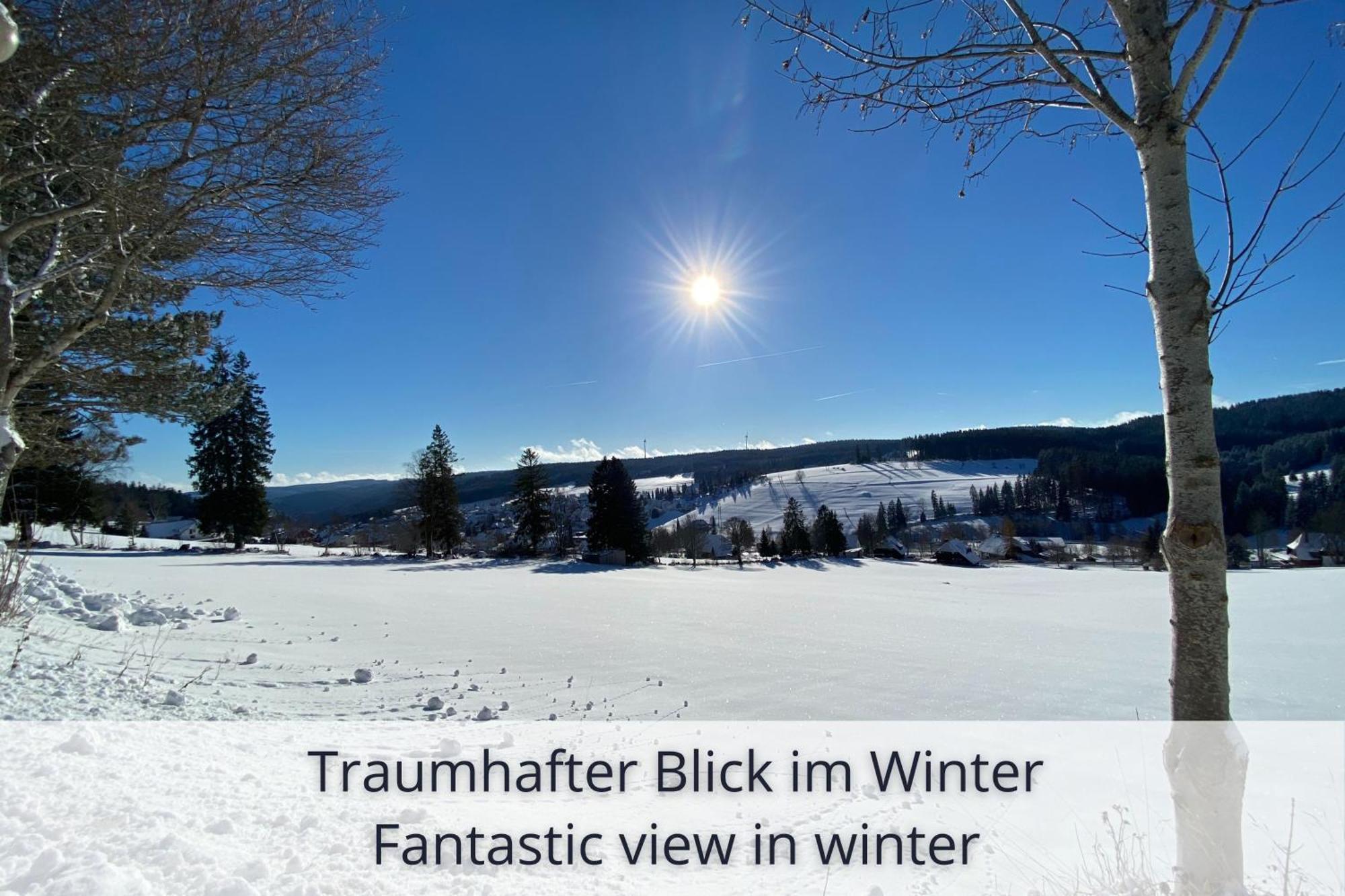 Auszeit Apartment Black Forest Schonach im Schwarzwald Exterior photo